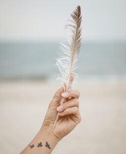 Hand holding a feather