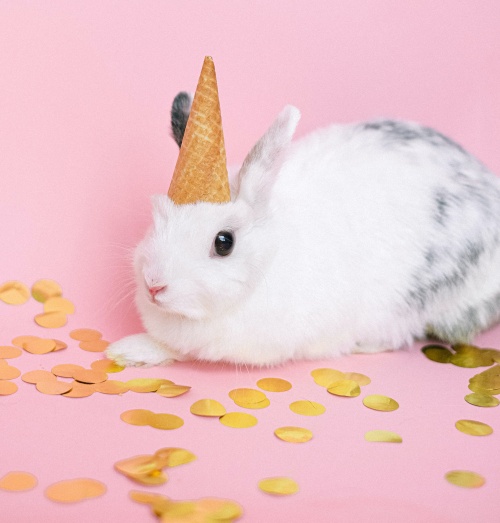 Rabbit and confetti with pink background